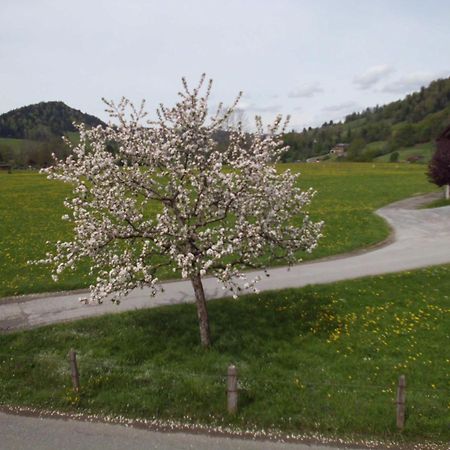 Ferienwohnung Annele Hittisau Exteriér fotografie